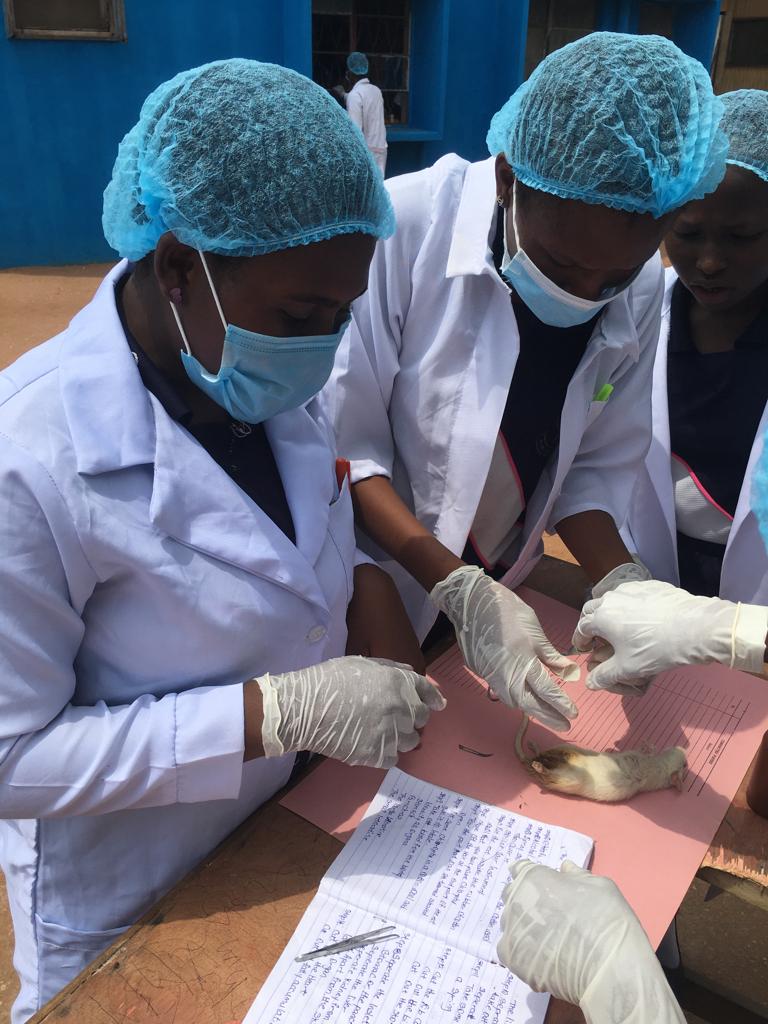 Students learning